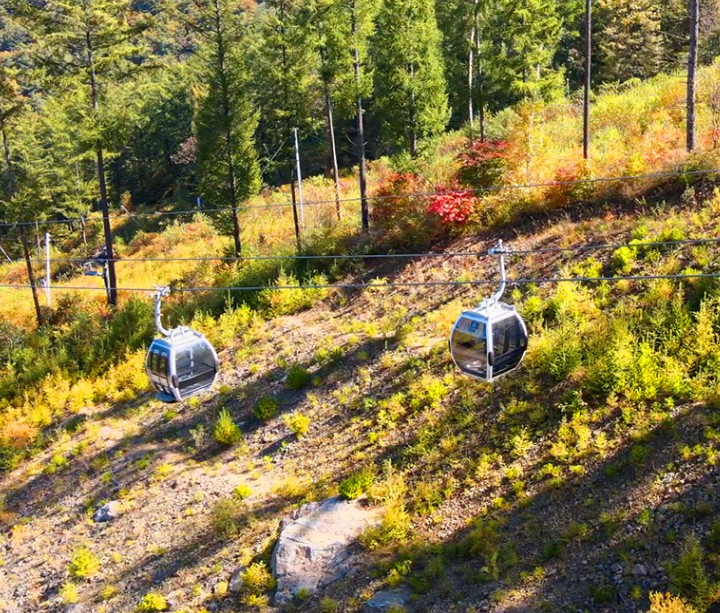 정선-가리왕산-케이블카