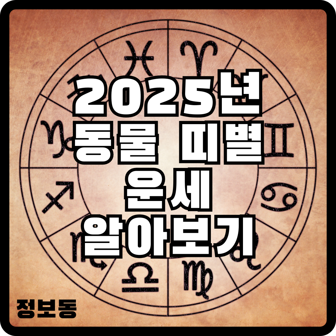 2025년 신년운세 동물 띠별 십이간지 사주
