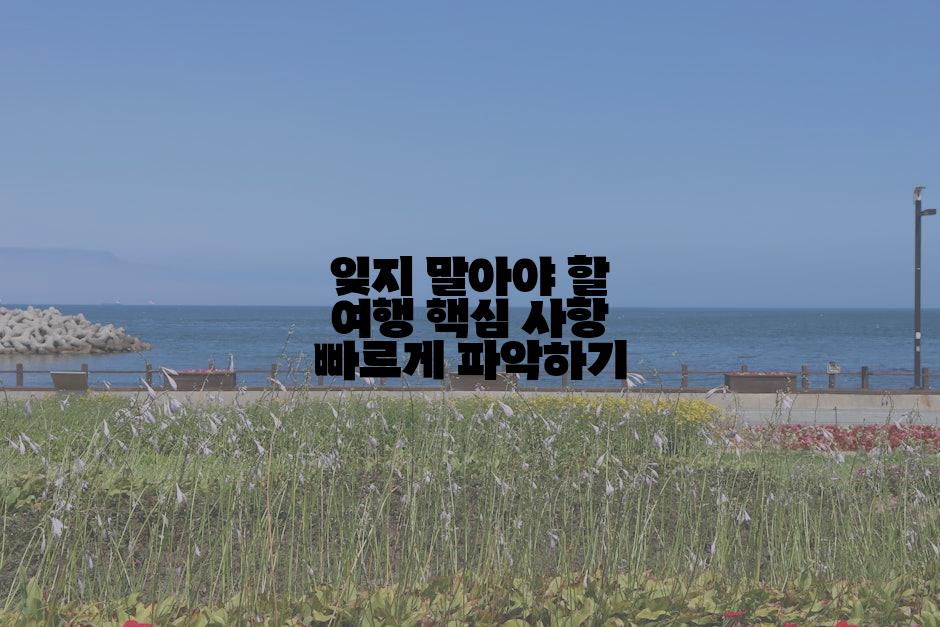 잊지 말아야 할 여행 핵심 사항 빠르게 파악하기