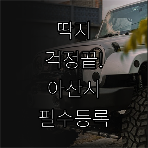 아산시 주정차 단속 알림 신청 차량 ..