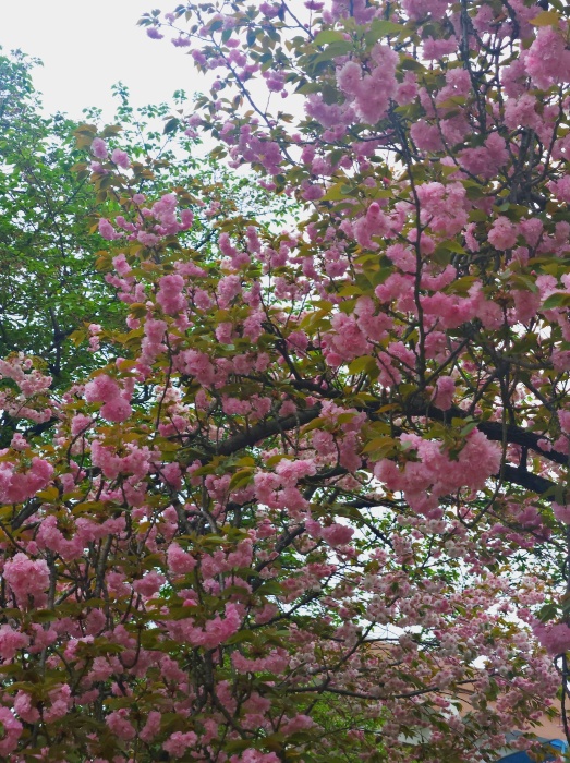 미래에셋 ISA 만기이전 방법