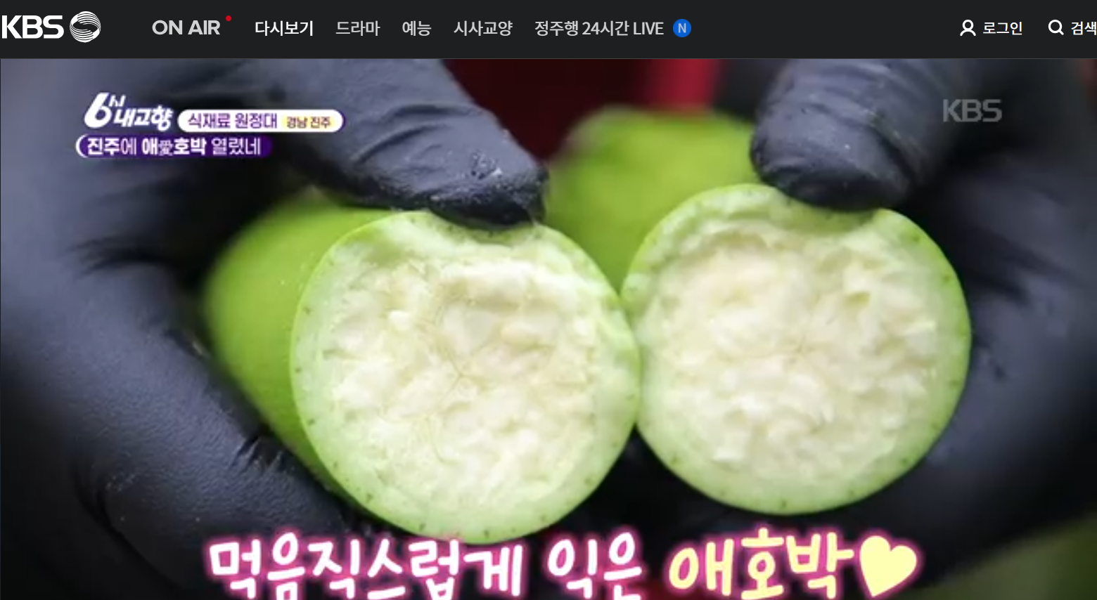 12월 29일 방송된 [ 식재료 원정대 &ndash;애호박가스&amp;#44; 꾸러미튀김가락국수&amp;#44; 애호박초밥케이크] 관련 레시피입니다.