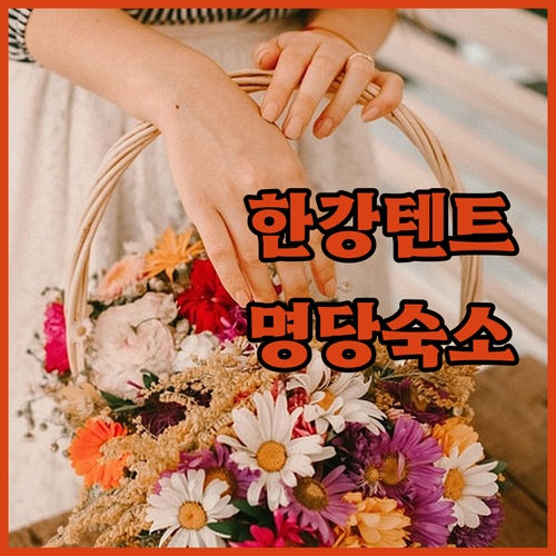 한강 피크닉 텐트 설치 시간과 구역 ..