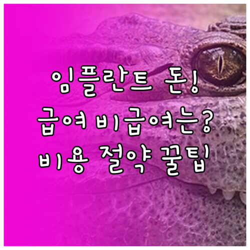 임플란트 급여 비급여 본인 부담 비용..