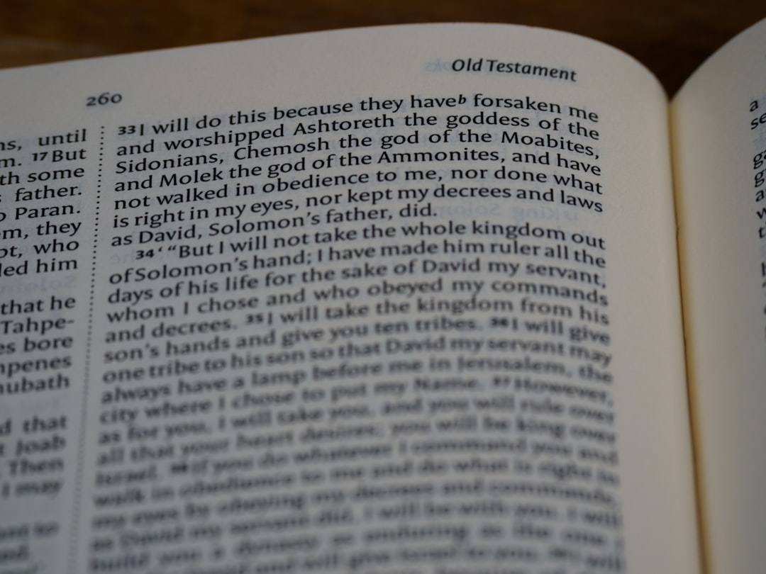 'QM6'에서 가장 중요한 명사는 'SUV'입니다.