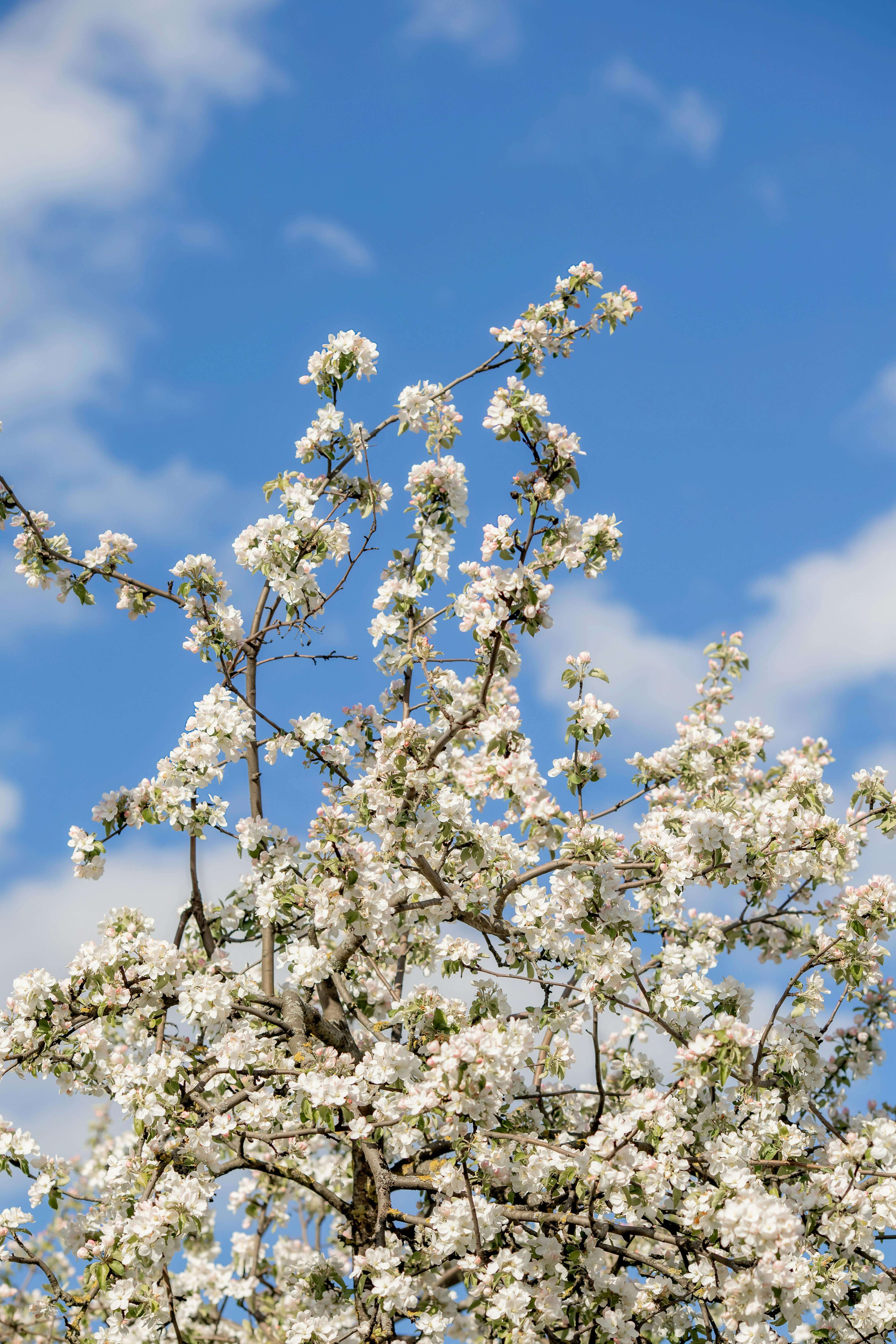 아르테코 양산 - 자외선 차단율, 디자인, 무게와 사이즈, 우산겸용, 가격
