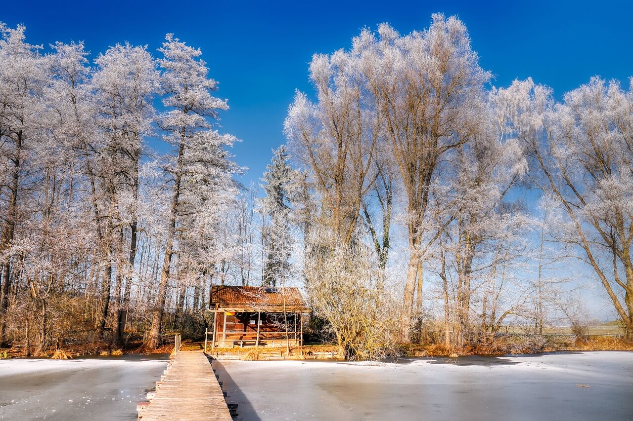도시 속 조용한 산책코스 도시 속 조용하고 따뜻한 겨울 산책길 – 차가운 계절에도 마음이 편안해지는 힐링 코스