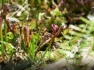 국립생태원 예약 방법