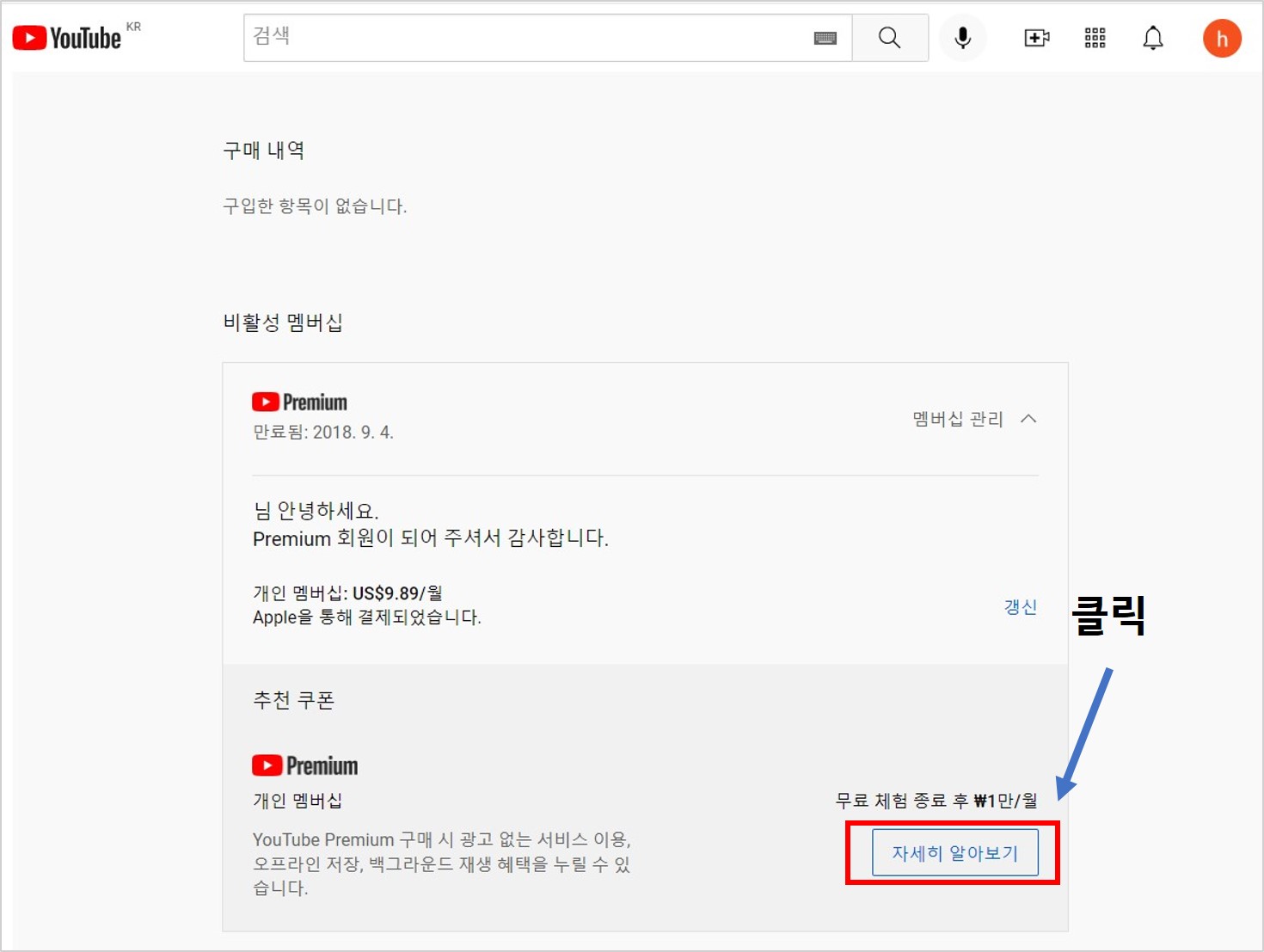 유튜브 프리미엄 웹 결제