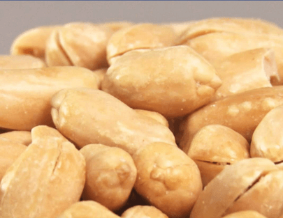 땅콩 심는 시기 수확 시기 효능 및 버터 만들기