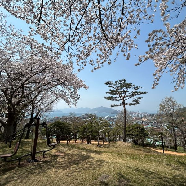 망산공원 