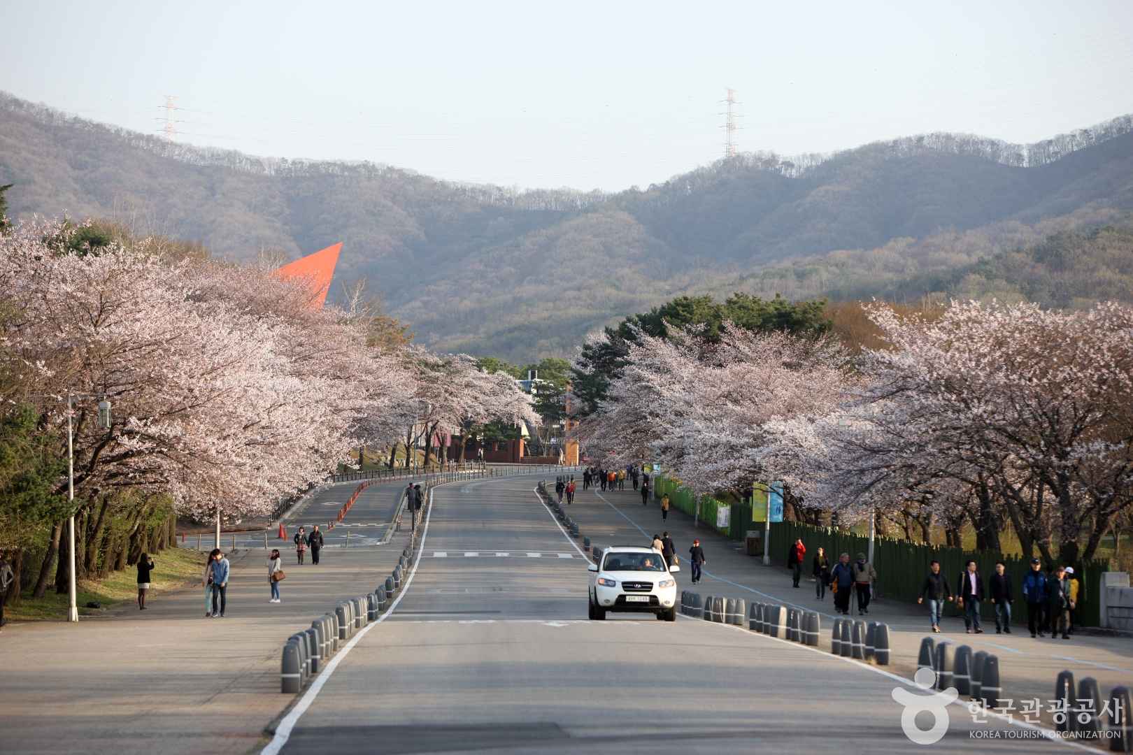 서울대공원