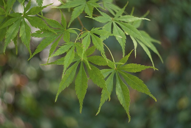 지구 기후위기와 해결을 위한 일상 실천방법