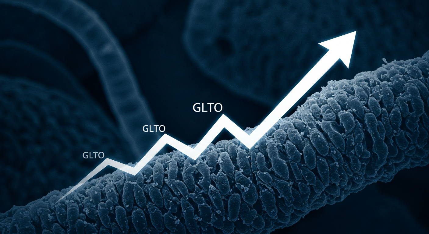 갈렉토 주가 변동