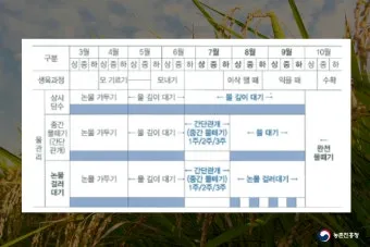 농사 물 관리 비가림 설치 배수로 정비 가뭄 대비 빗물 저장_6