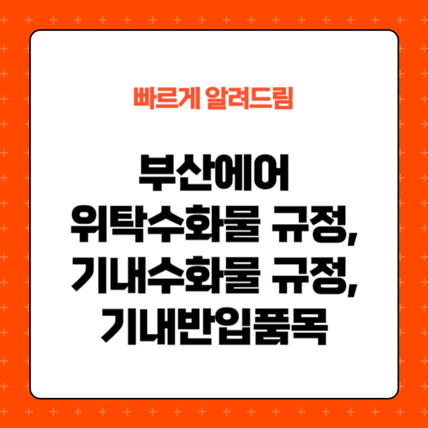 부산에어 위탁수화물&#44; 기내수화물 규정
