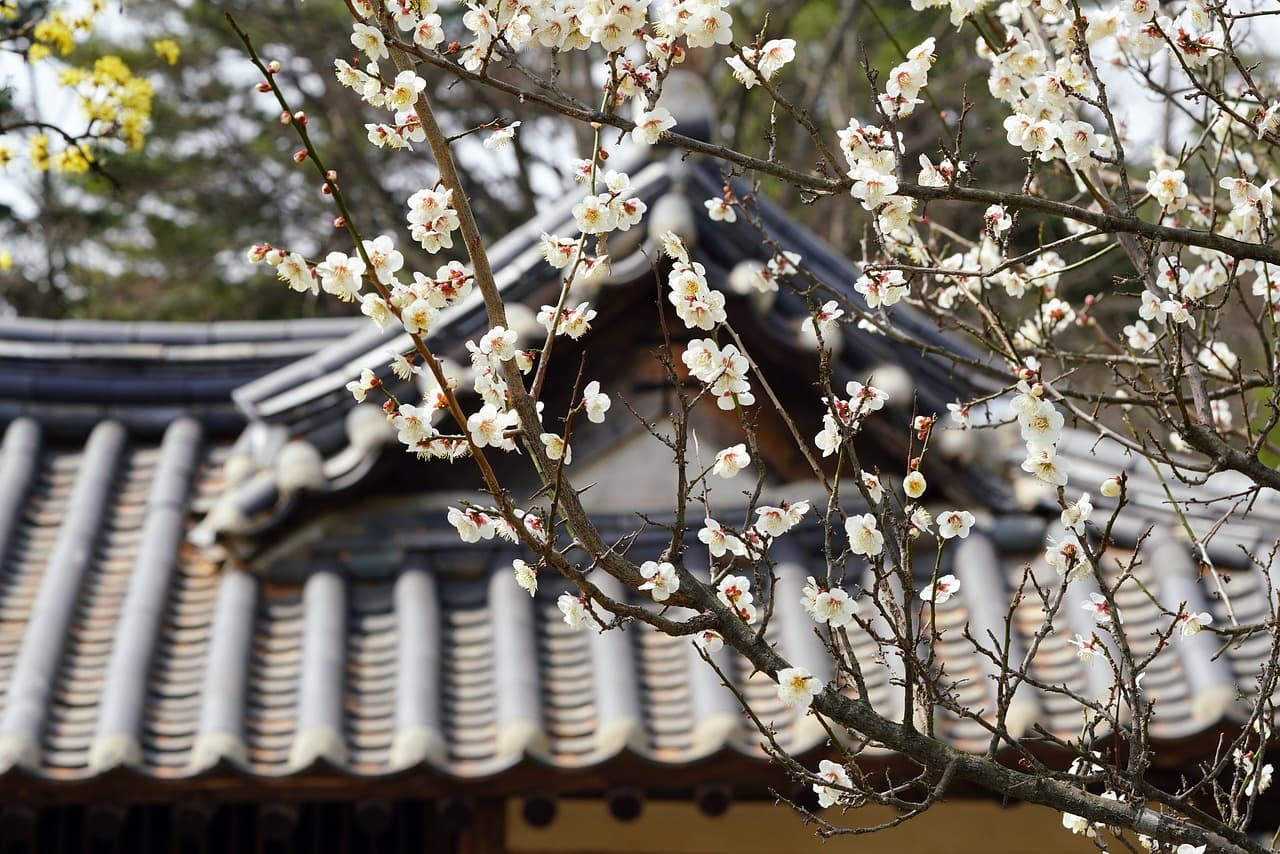 ‘온돌’의 원리로 난방비 줄이기: 현대 바닥 난방 시스템과 비교