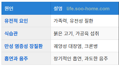 대장암의 주요 원인