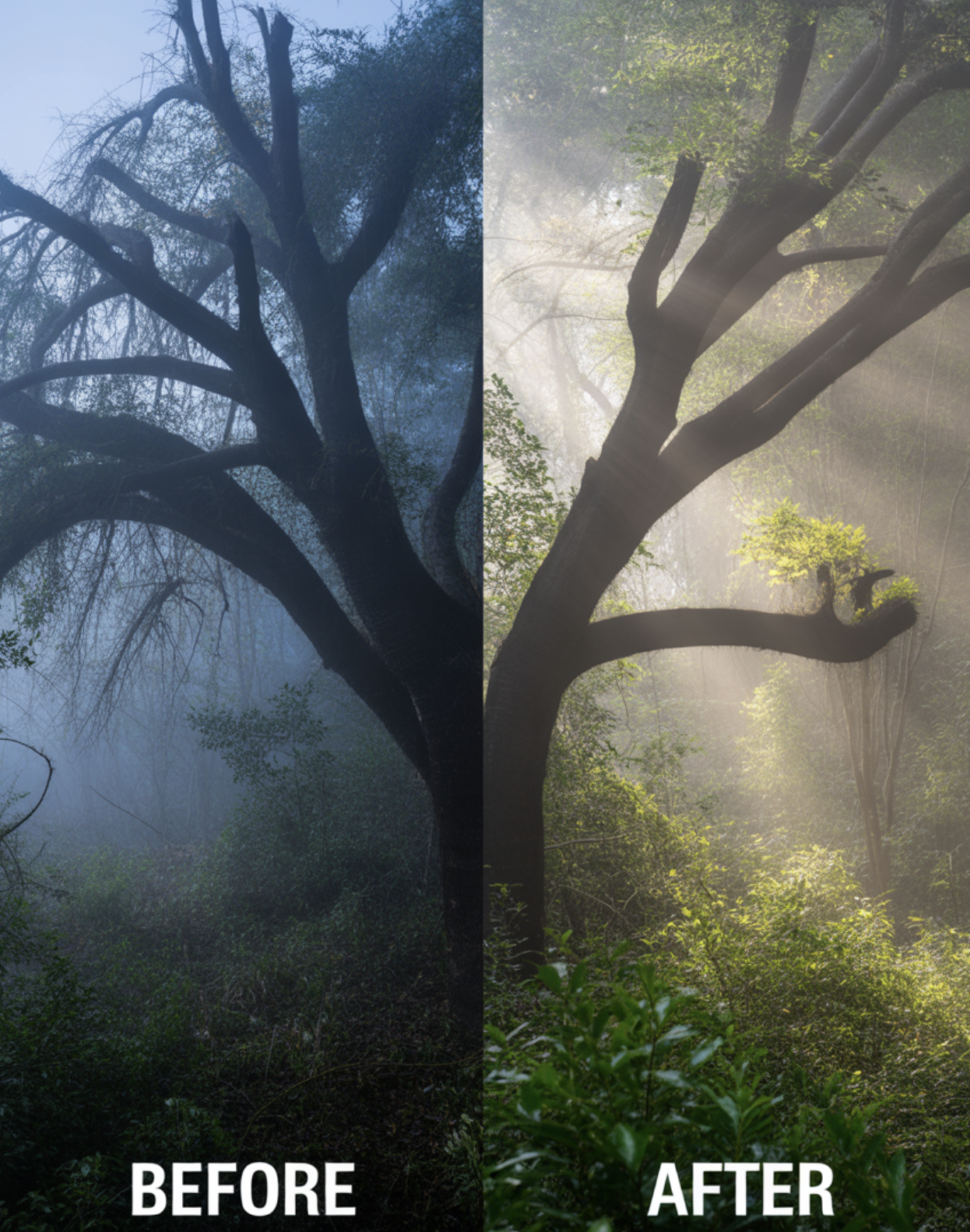새순 폭탄을 위한 비장의 무기
