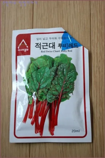 적근대 재배 씨 뿌림 솎음 수확 색 유지_14