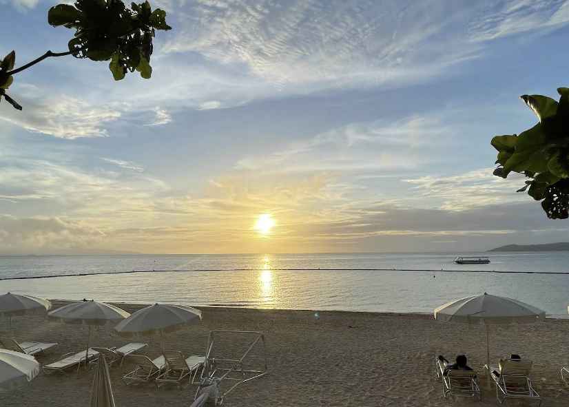 이시가키지마-항공권-가격