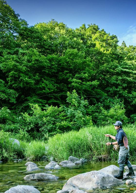 강원도 계곡 사진