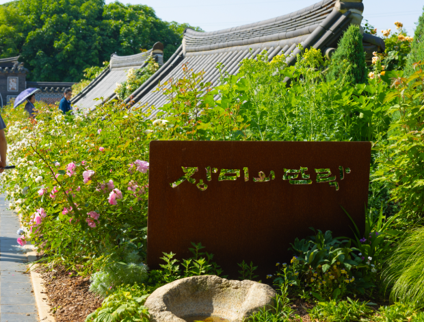 한국도로공사 전주수목원, 무료로 즐기는 6월의 장미 정원 산책