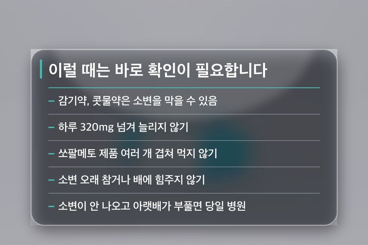 쏘팔메토 효능 이것만은 피하셔야 합니다