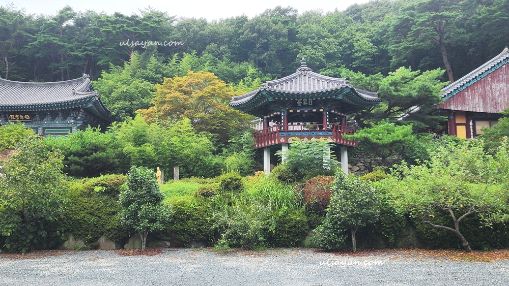 숲속의 사명암 정자