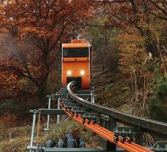 대봉산 단풍명소