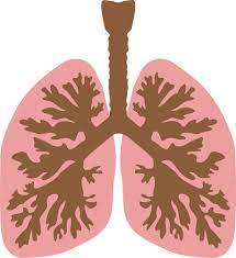 결핵 보건소에서 무료검진 대상 및 신청 방법