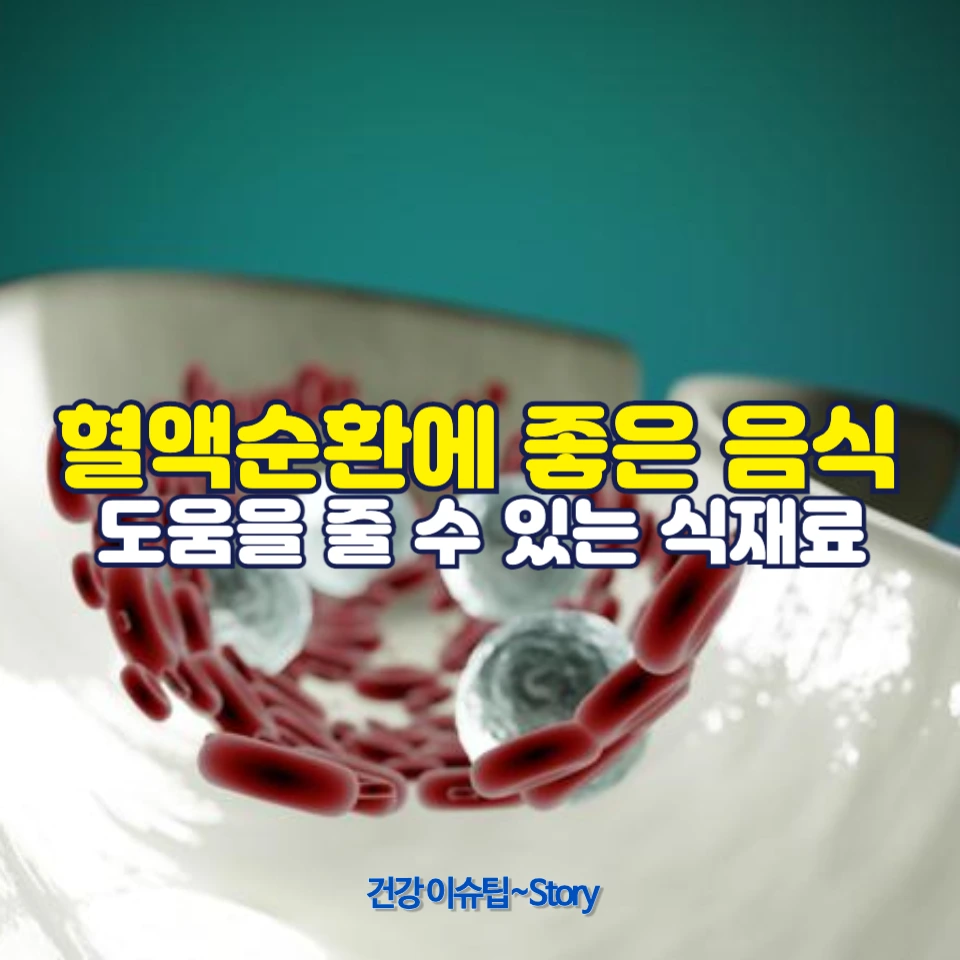 혈액순환에 좋은 음식