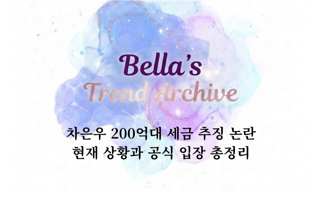 차은우 200억대 세금 추징 논란 현재 상황과 공식 입장 정리 썸네일