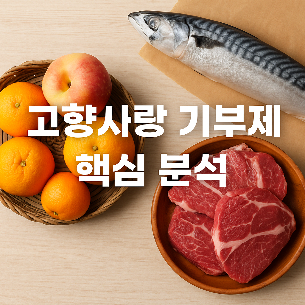 고향사랑 기부제 핵심 분석