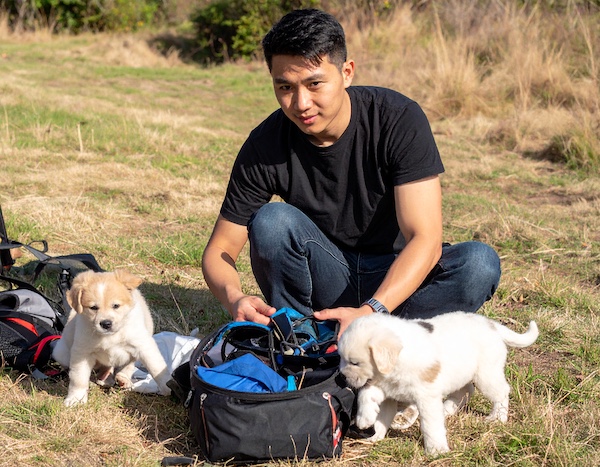 반려동물 해외여행 건강검진 및 광견병 확인서
