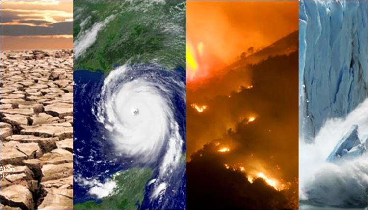 기후 변화 피해