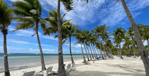 보홀 패키지 여행