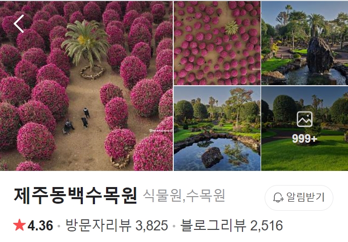 제주-동백수목원-썸네일