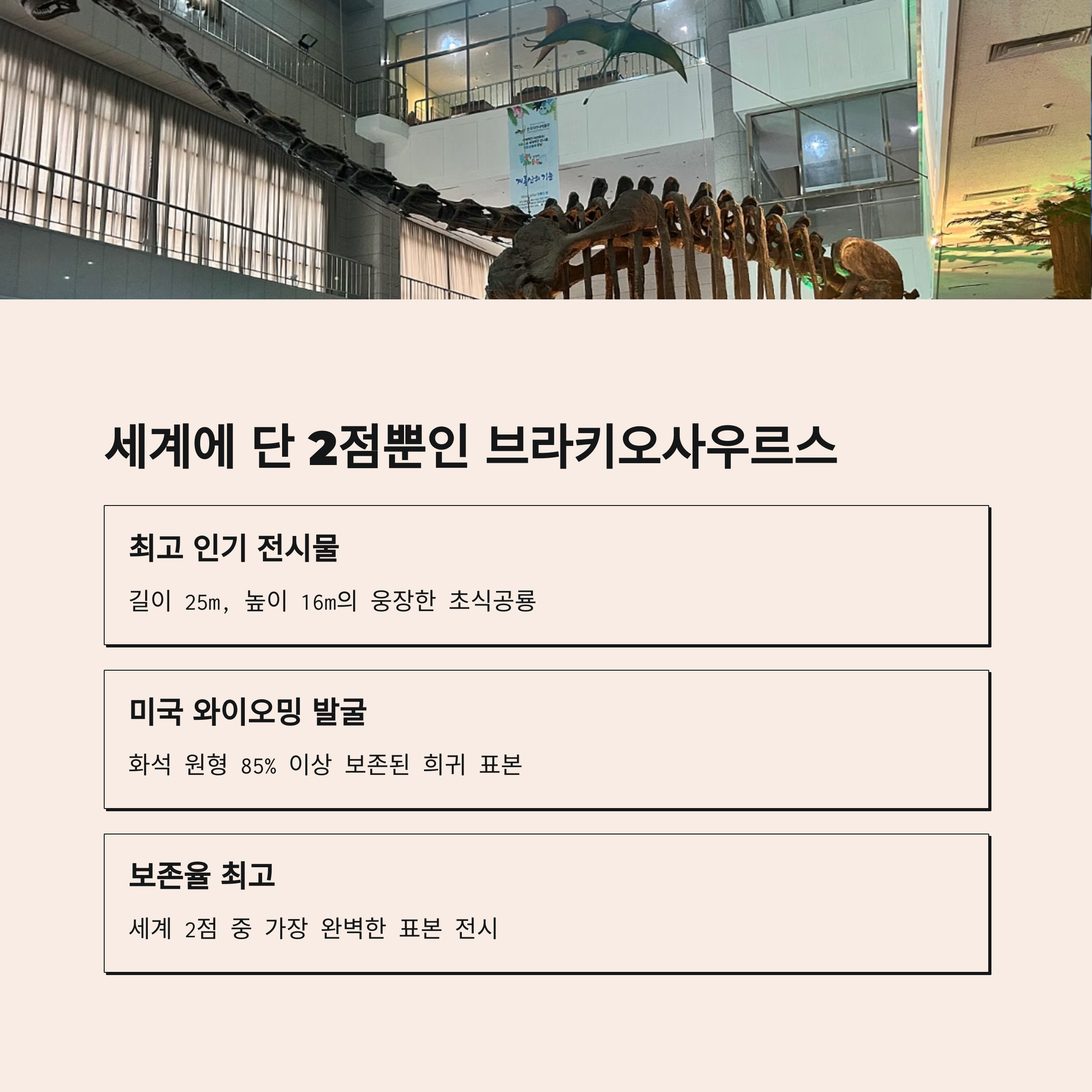 세계에 단 2점뿐인 브라키오사우르스