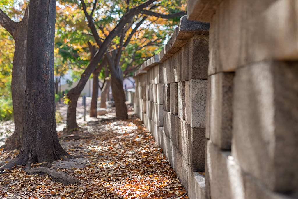 혜화문
성북동
한양도성길
백악구간
서울여행
서울단풍
가을단풍
단풍