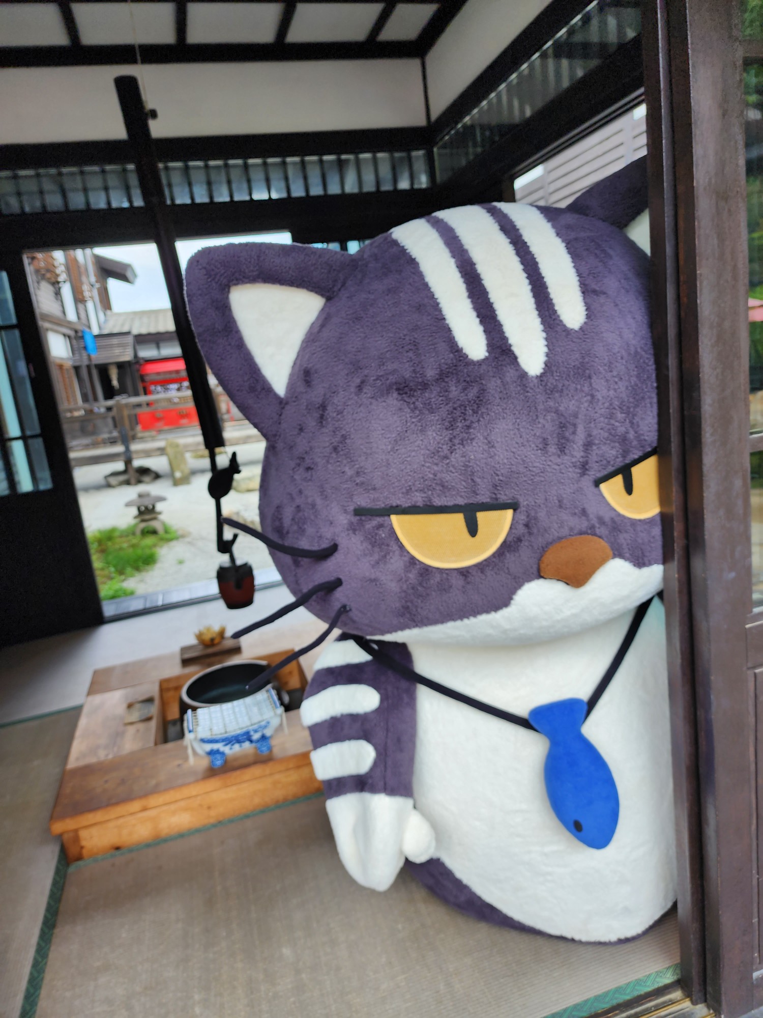 고양이 인형