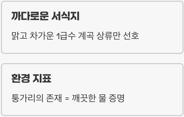 1급수의 까칠한 신사, 퉁가리