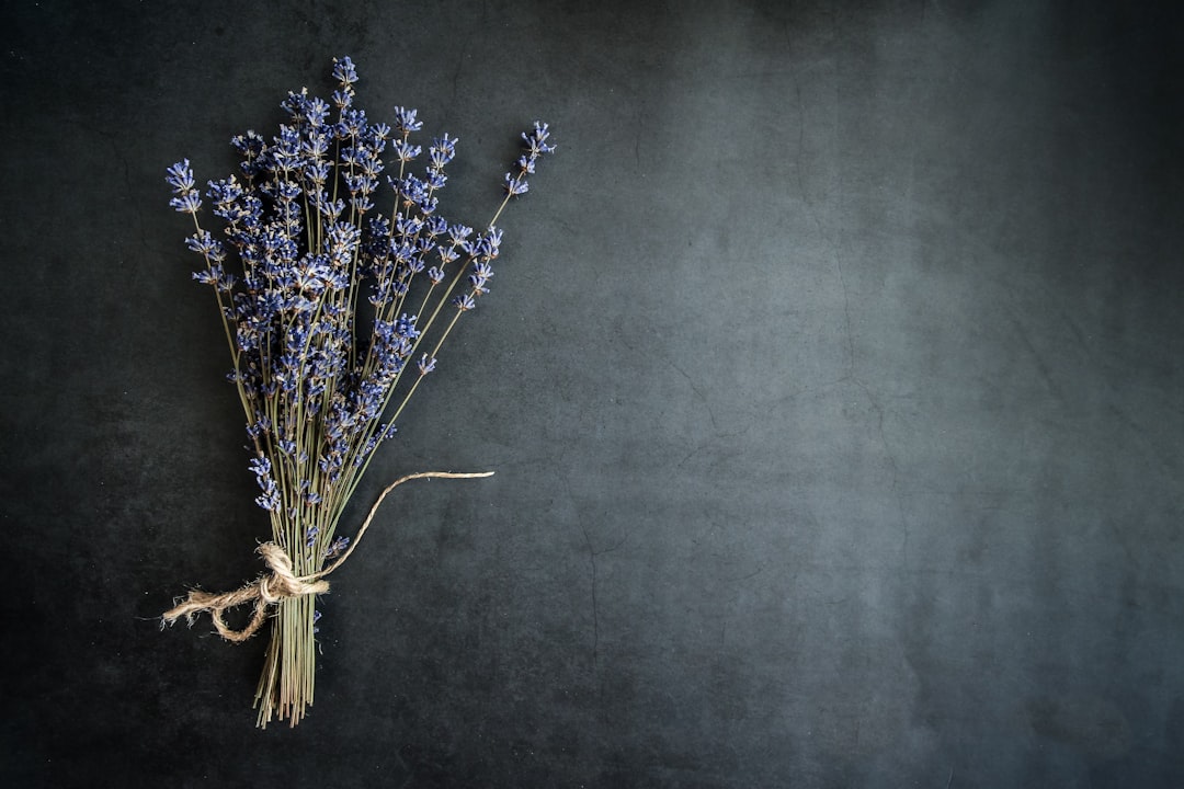 Lavender