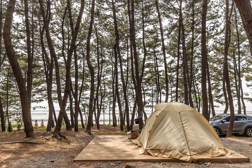 충남 서천 장항오토캠핑장 소개