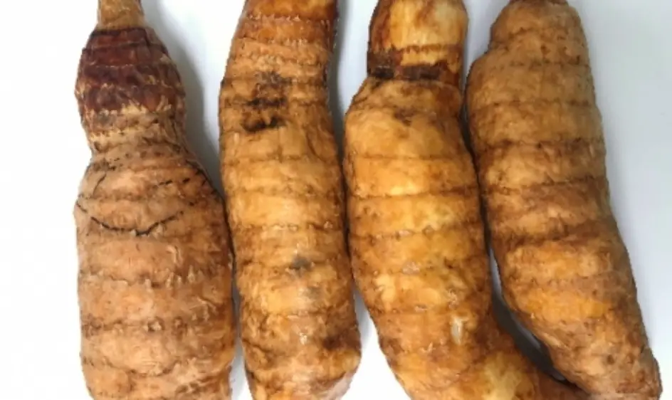 천마 효능