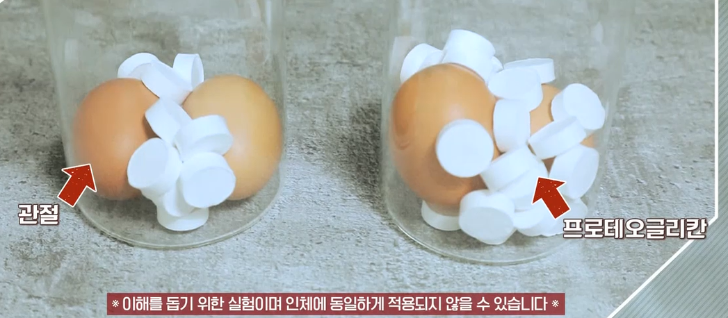 프로테오글리칸 효능 