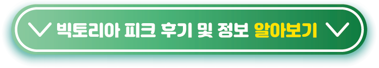 빅토리아-피크-후기-및-정보-알아보기