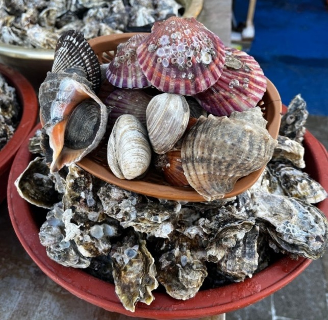 한국기행-천북굴단지-해변굴수산