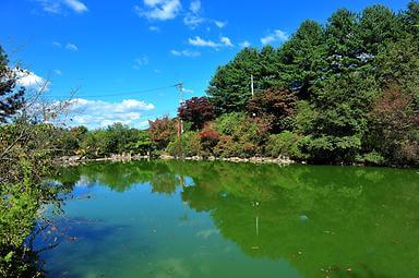 경기도 캠핑장 추천