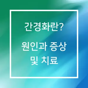 간경화란? 원인과 증상 및 치료